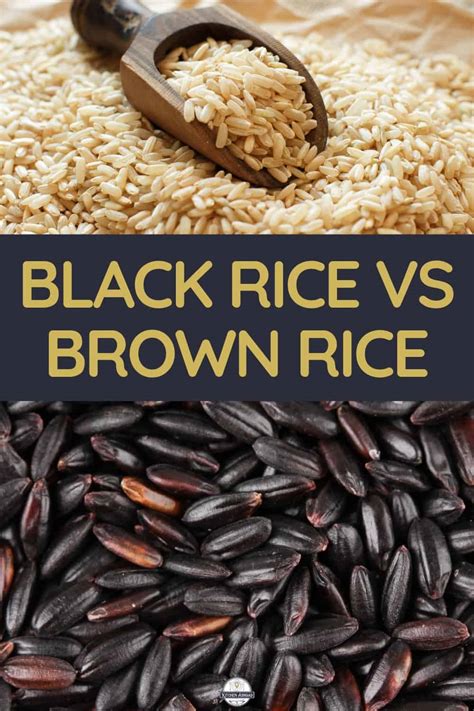 black rice vs brown rice|Iba pa.